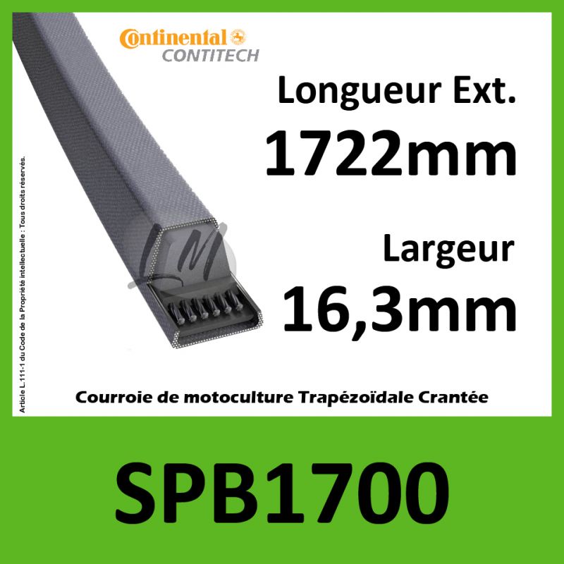 Courroie SPB1700 - Continental