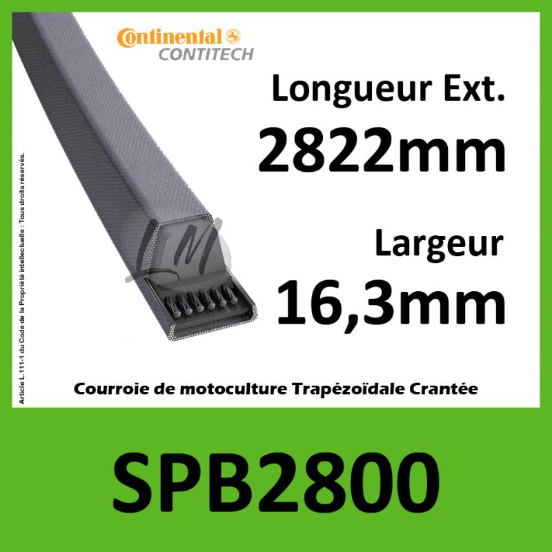 Courroie SPB2800 - Continental