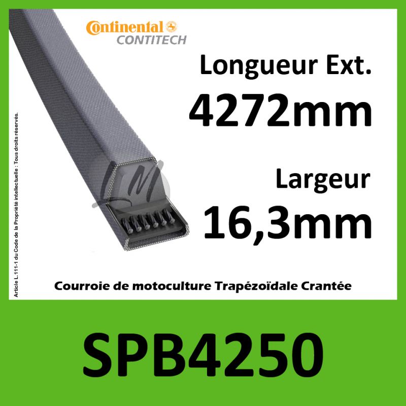 Courroie SPB4250 - Continental