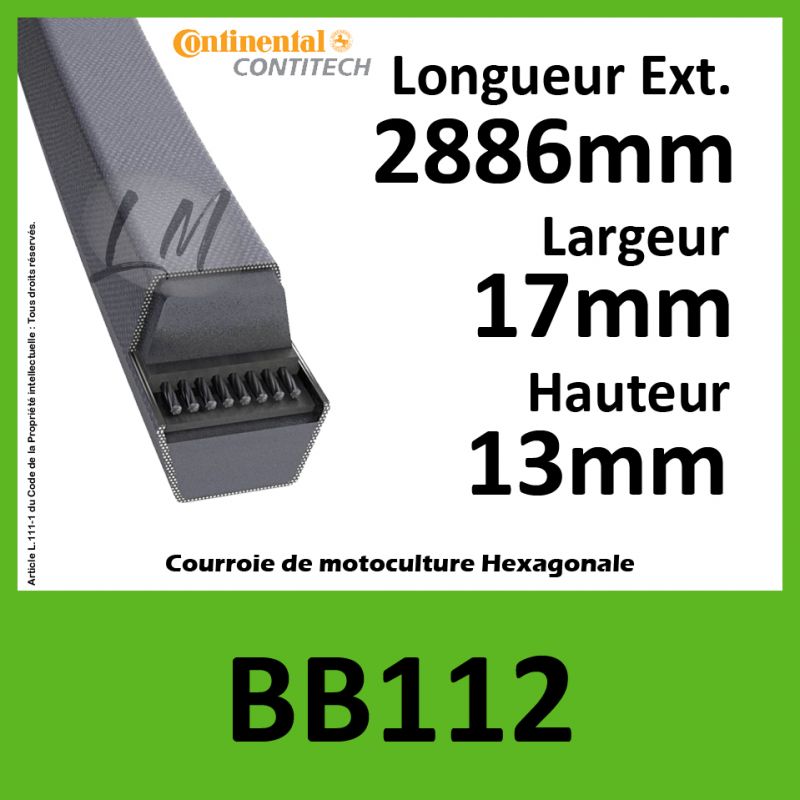 Courroie Hexagonale BB112 - Continental