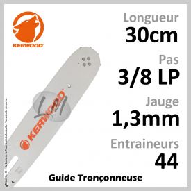 Guide chaîne tronçonneuse 30cm 3/8LP 1,3mm 44 entraineurs