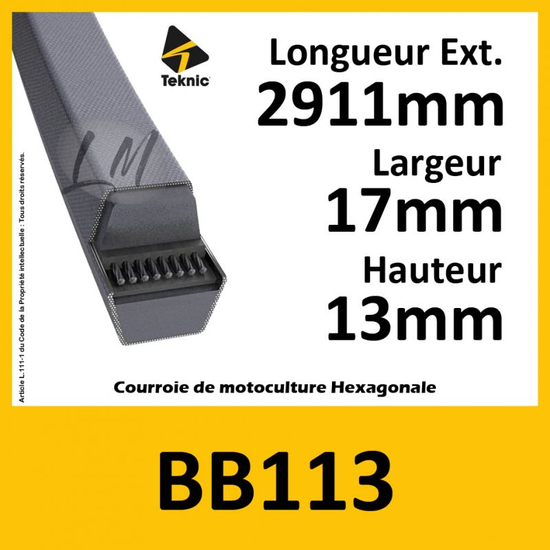 Courroie Hexagonale BB113 - Teknic