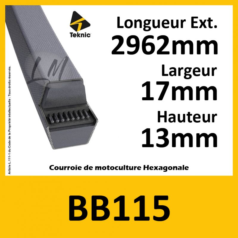 Courroie Hexagonale BB115 - Teknic