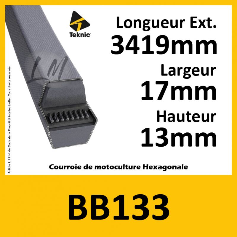 Courroie Hexagonale BB133 - Teknic