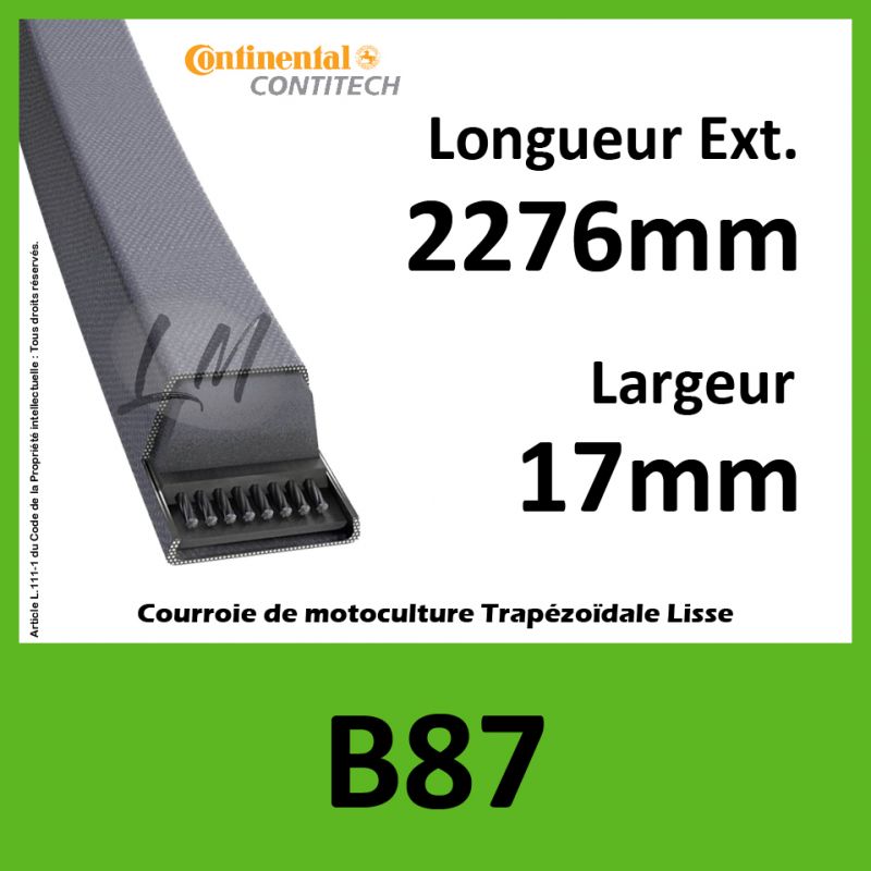 Courroie B87 Continental