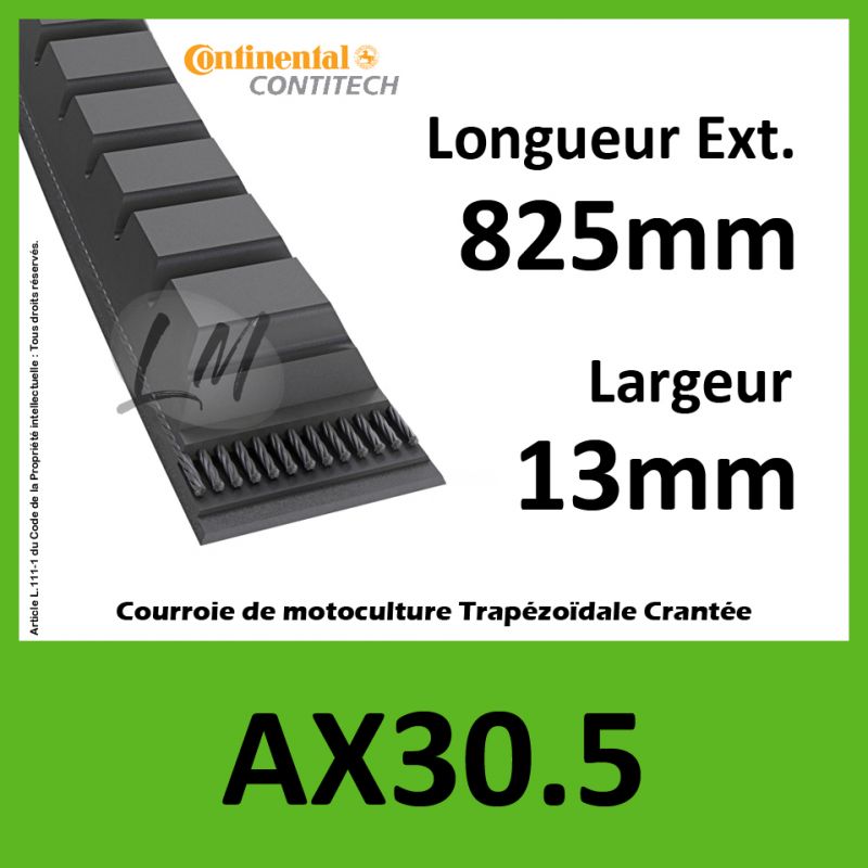 Courroie AX30.5 - Continental