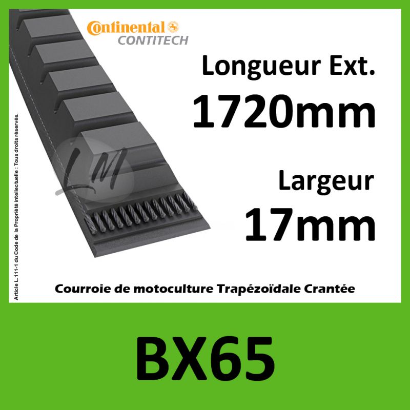 Courroie BX65 - Continental