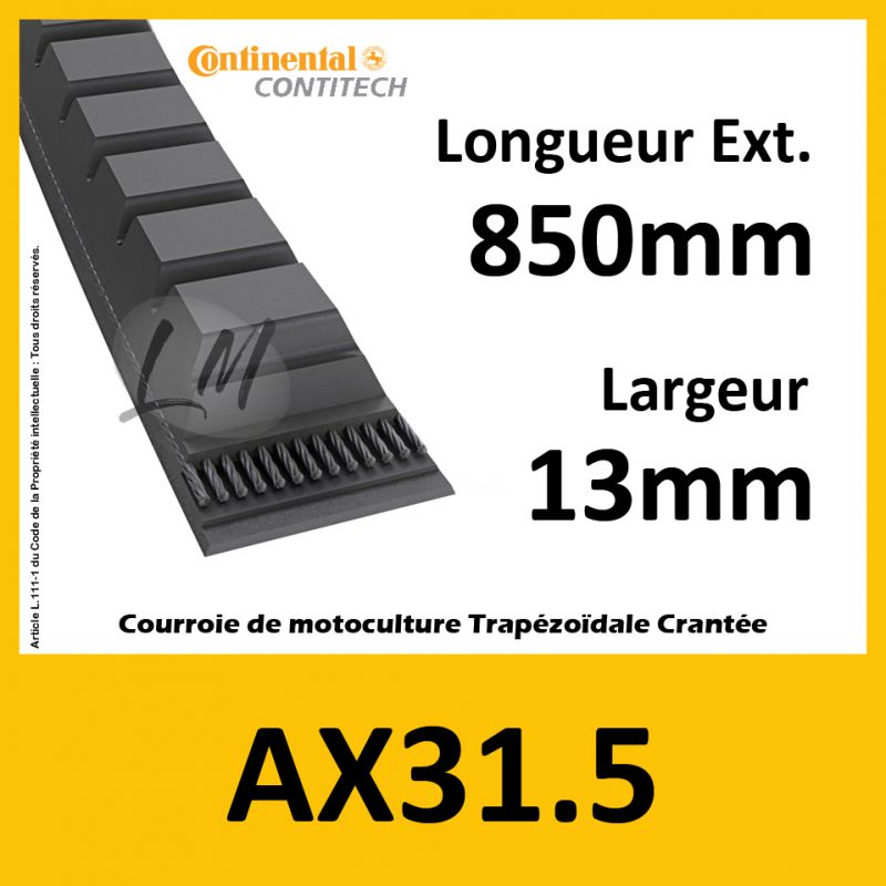 Courroie AX31.5 - Teknic