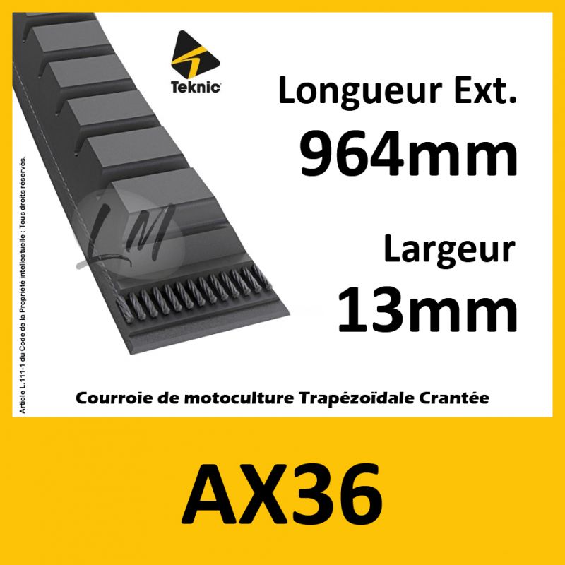 Courroie AX36 - Teknic