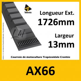 Courroie AX66 - Teknic