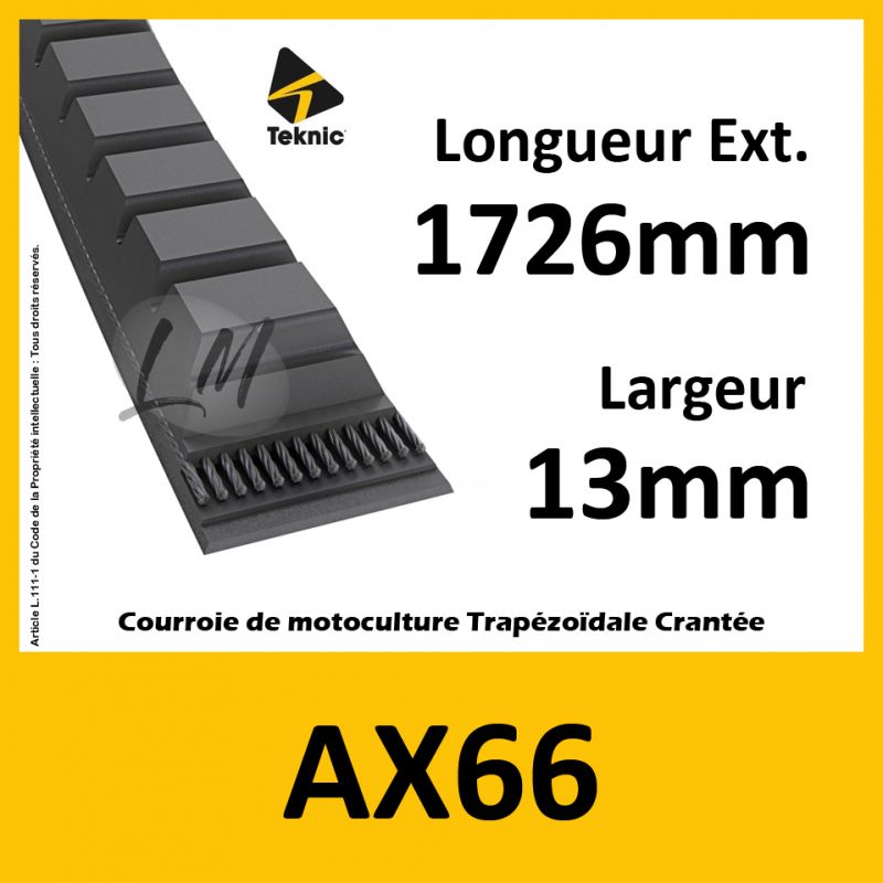 Courroie AX66 - Teknic