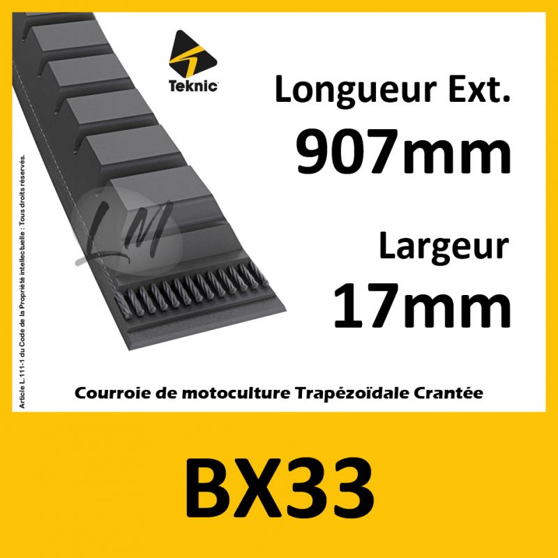 Courroie BX33 - Teknic