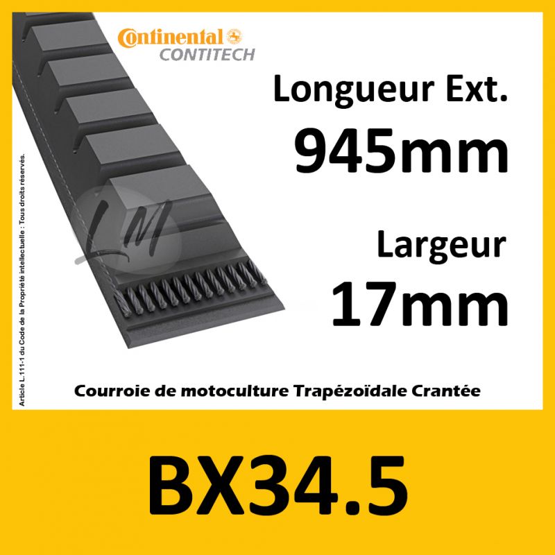 Courroie BX34.5 - Teknic