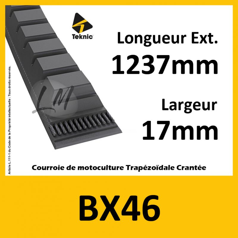 Courroie BX46 - Teknic