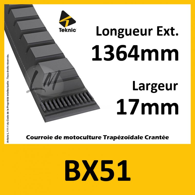 Courroie BX51 - Teknic